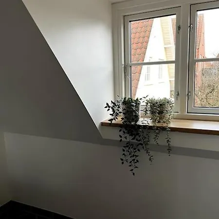 Lys Nyrenoveret Lejlighed I C Lägenhet